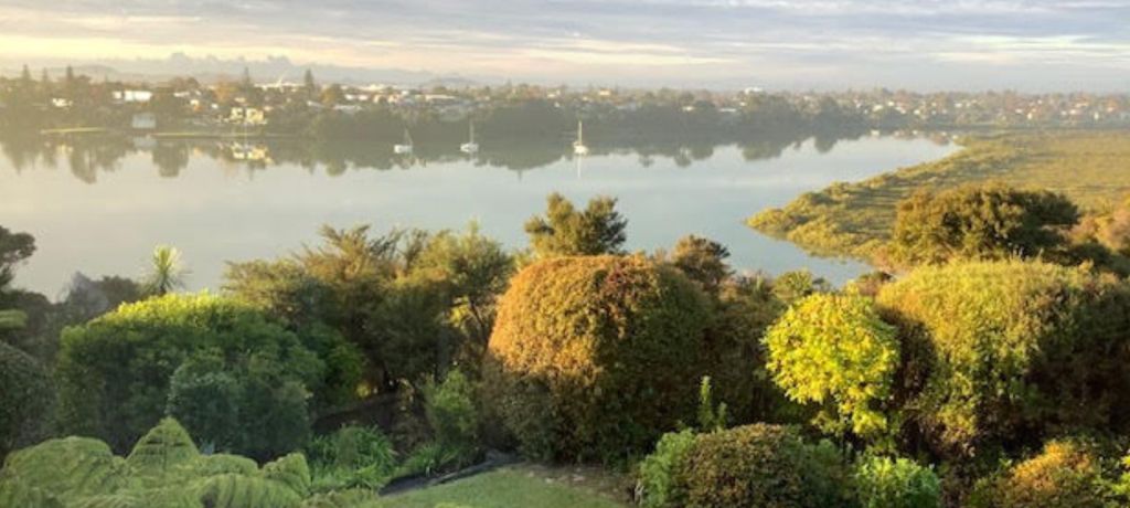Auckland harbour and surrounding residential neighbourhoods
