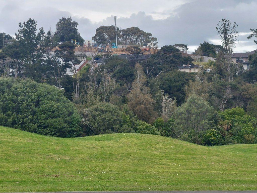 100 Schnapper Rock Road development viewed from the Oakway Drive area in Schnapper Rock in August 2026.